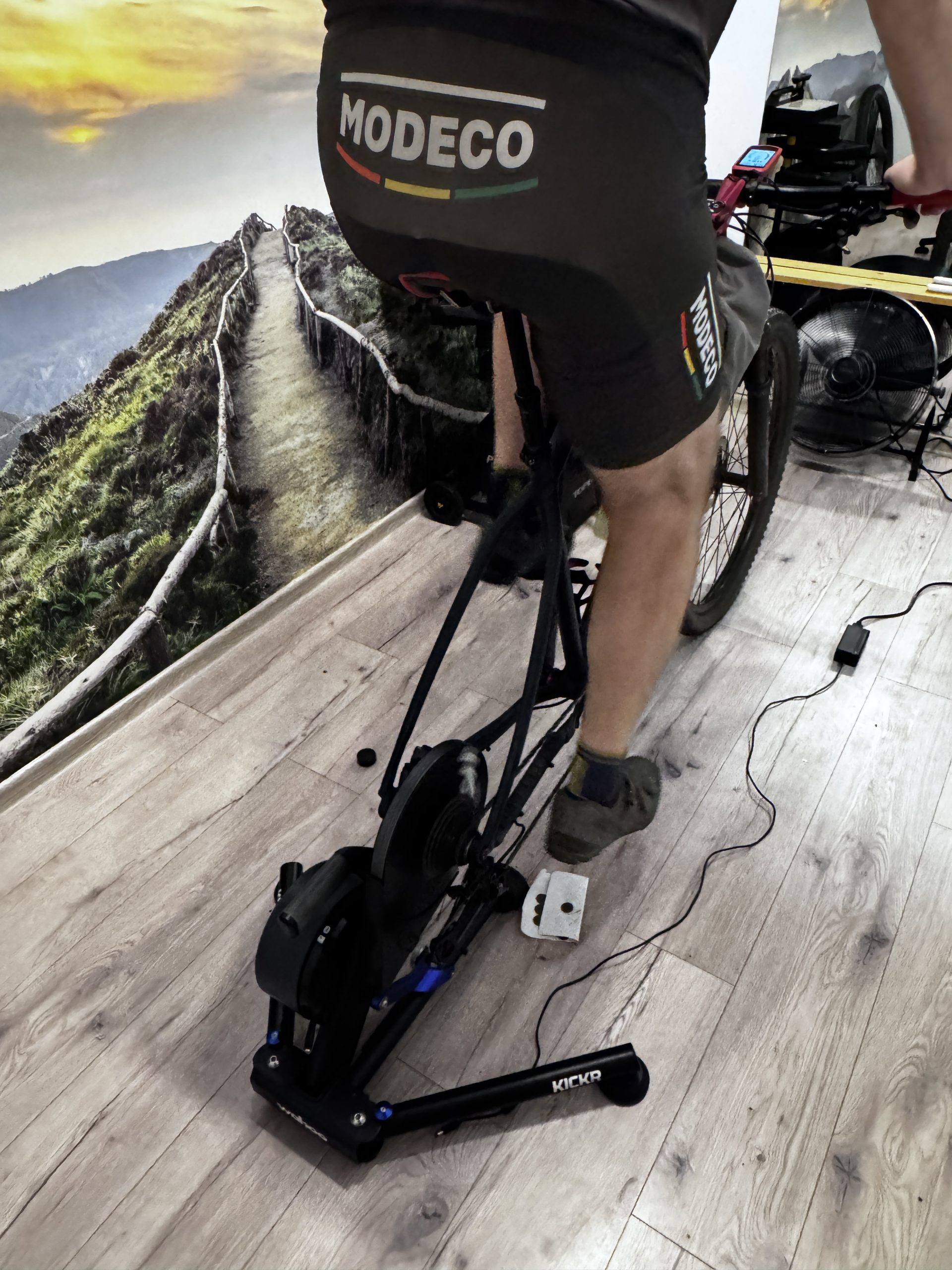 Bike fitting Istra Wrocław